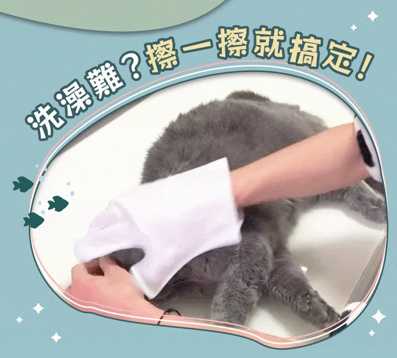 🐶🐱【台灣毛孩家長必備｜免洗清潔手套】 毛孩不愛洗澡？日常清潔太麻煩？ 一戴一擦，輕鬆整理毛孩日常毛髮狀態！ ✨ 柔軟材質設計｜親近毛孩肌膚 ✨ 方便擦拭清潔｜減少外出後髒污困擾 ✨ 搭配日常梳理｜讓毛髮保持柔順蓬鬆 🐾 適合貓咪、狗狗使用 居家清潔、外出回家、換毛季護理都方便！ 不用大費周章洗澡，簡單幫毛孩維持乾淨舒適～ - 3