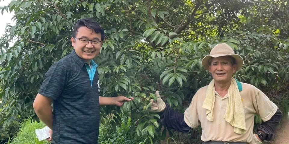 🌿新竹寶山甘草橄欖｜長輩喜愛的傳統養生果品 嚴選寶山橄欖果實 甘草工法醃製 酸甜爽脆 日常保養隨手享用 - 4