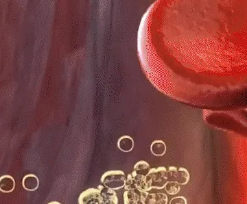 血管清道夫🔥【仁愛三七粉】 喝出年輕人血管✨👍專攻“高血壓，糖尿病，高血脂，冠心病❗” 👍雲南純正三七粉✅採用3年以上老三七 😍每天壹匙👍清理血管壁✨暢通血管 ✅袪瘀止血💯袪瘀止血✅消腫定痛✅降三高 ✅泡水，煮粥，煲湯煲骨頭湯都這用，喝出健康！ ✅三七，被譽爲“中藥之王”✅它不僅具有強大的藥用價值，更是養生的不二之選‼ 📢【血管清道夫-三七】直接作用： 💯告別高血壓、高血糖，預防心梗中風。 💯止血化淤，散瘀消腫💯提高免疫力 💯促進新陳代謝💯增強記憶力 - 2