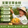🍊 宜蘭季節限定上市 錯過再等一年 【山藥陳皮甘草金桔】 限時福利優惠中 ✅ 嚴選優質金桔與草本原料 ✅ 自然晾曬製作 保留食材原有風味 ✅ 果香濃郁 酸甜適口 果肉細緻柔軟 入口散發自然金桔清香 層次豐富 越吃越涮嘴 大人小孩都喜愛
