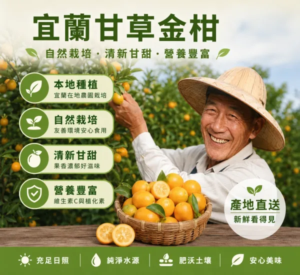 🍊 宜蘭季節限定上市 錯過再等一年 【山藥陳皮甘草金桔】 限時福利優惠中 ✅ 嚴選優質金桔與草本原料 ✅ 自然晾曬製作 保留食材原有風味 ✅ 果香濃郁 酸甜適口 果肉細緻柔軟 入口散發自然金桔清香 層次豐富 越吃越涮嘴 大人小孩都喜愛