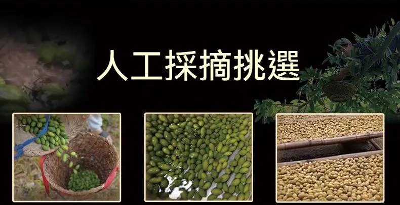 🌿新竹寶山甘草橄欖｜長輩喜愛的傳統養生果品 嚴選寶山橄欖果實 甘草工法醃製 酸甜爽脆 日常保養隨手享用 - 13