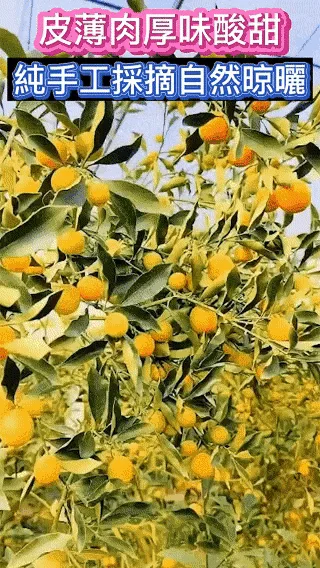 🍊【宜蘭有機甘草金桔】最後產季限定！錯過再等明年！ 🌿 嚴選宜蘭優質金桔，搭配甘草古法調製，自然風乾製作，保留果香與細膩口感。 ✨ 金桔香氣濃郁 ✨ 甘甜爽口不膩 ✨ 果肉柔軟有嚼感 入口先感受金桔清香，慢慢散發甘草回甘滋味，一口接一口停不下來！ 🍵 泡茶、日常小點、午後解饞都適合 🎁 產季限定福利優惠，喜歡金桔風味的朋友別錯過！ - 6