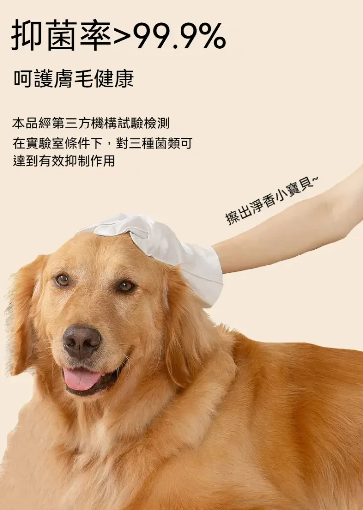 🐶🐱【台灣毛孩家長必備｜免洗清潔手套】 毛孩不愛洗澡？日常清潔太麻煩？ 一戴一擦，輕鬆整理毛孩日常毛髮狀態！ ✨ 柔軟材質設計｜親近毛孩肌膚 ✨ 方便擦拭清潔｜減少外出後髒污困擾 ✨ 搭配日常梳理｜讓毛髮保持柔順蓬鬆 🐾 適合貓咪、狗狗使用 居家清潔、外出回家、換毛季護理都方便！ 不用大費周章洗澡，簡單幫毛孩維持乾淨舒適～ - 12
