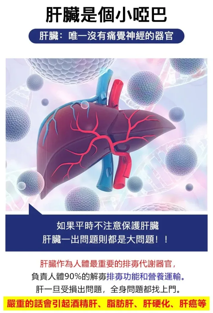 🥢 老壇枸杞泡薑芽|酸甜爽脆超開胃 一口接一口停不下來 - 3