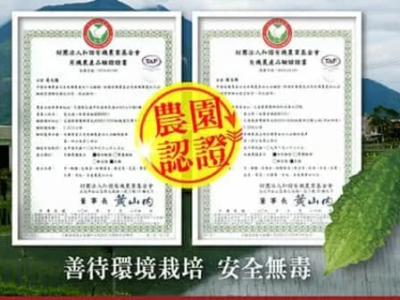🍍【嘉義鳳梨乾】傳統烘焙工藝製作｜保留鳳梨自然果香與微脆口感 🔥 現切果肉低溫烘烤｜自然果甜風味濃郁 ✨ 入口微脆帶果纖維感｜越嚼越香不膩口 👨‍👩‍👧 全家皆適合的小零食選擇｜追劇 / 休閒 / 旅遊都方便攜帶 - 15