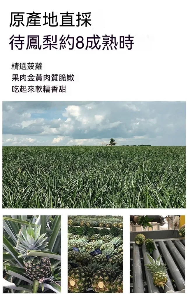 🍍【嘉義鳳梨乾】傳統烘焙工藝製作｜保留鳳梨自然果香與微脆口感 🔥 現切果肉低溫烘烤｜自然果甜風味濃郁 ✨ 入口微脆帶果纖維感｜越嚼越香不膩口 👨‍👩‍👧 全家皆適合的小零食選擇｜追劇 / 休閒 / 旅遊都方便攜帶 - 10