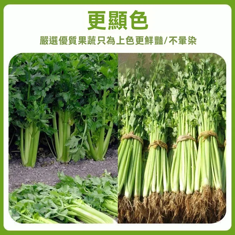 🥬 外食族必備！ 每天大魚大肉 蔬菜不足 身體負擔增加？ 雲林有機西芹粉 一杯補充天然蔬菜精華 🌿 台灣有機栽種 ✨ 純天然研磨 💧 隨時沖泡超方便 - 3
