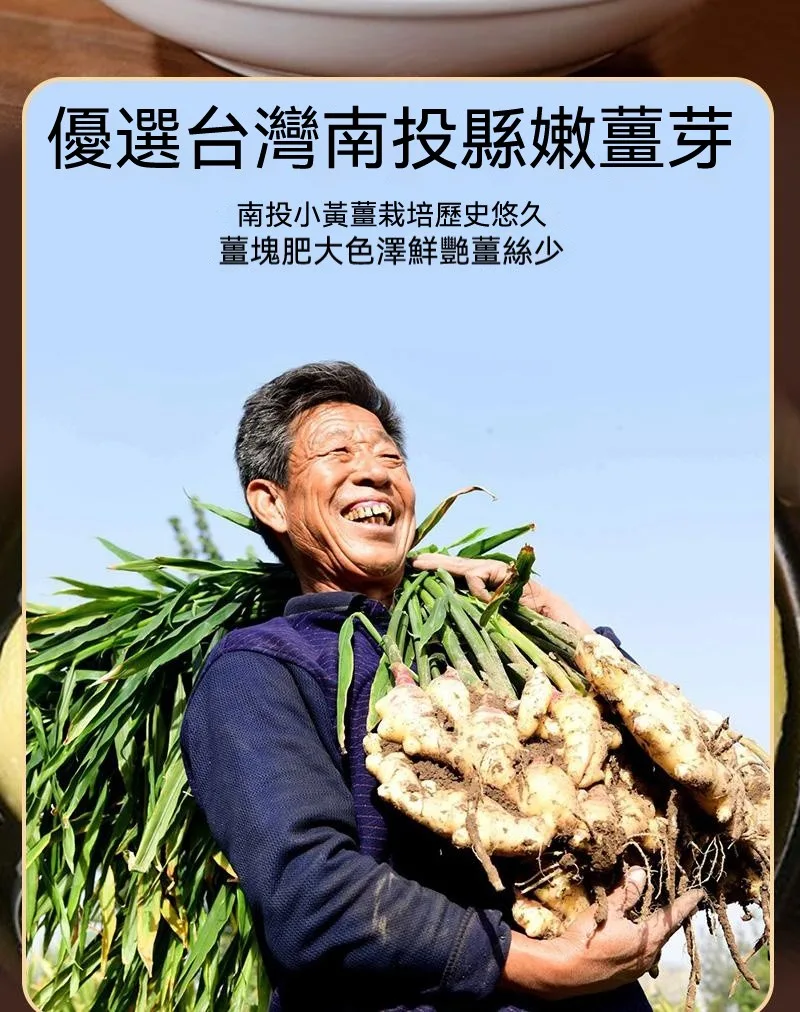 🥢 老壇枸杞泡薑芽|酸甜爽脆超開胃 一口接一口停不下來 - 8