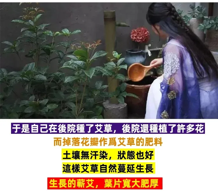 🌿【純陽午時水・古法手工艾草平安皂】 傳承古法艾草製皂工藝，嚴選陳年艾草與天然草本原料，手工慢製保留濃郁艾草香氣。 ✨ 艾草清香｜洗後清爽舒適 ✨ 細膩泡沫｜溫和潔淨肌膚 ✨ 手工製作｜每一顆都是匠心打造 沐浴時感受自然草本氣息，給肌膚一份溫柔呵護。適合日常使用、家庭常備，也適合作為送禮祝福之選。 🌿 一皂傳承古法，一份安心陪伴每一天。 - 8