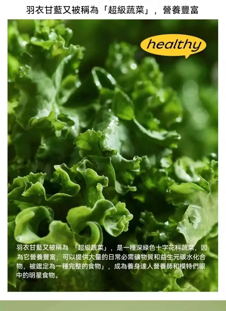 👉一片頂4小時⚡️早餐吃這個就夠！ 滿滿羽衣甘藍+莓果乾✨ 咬下去超滿足🌟營養滿分減脂期救星 ✅全麥厚切✅野果爆多✅高纖飽足 - 7