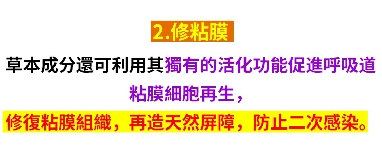 🌿【麥冬枇杷葉甘草雪梨片】 傳統草本配方 融合麥冬 枇杷葉 甘草 雪梨多種天然原料 入口清甜 不刺激 隨身攜帶方便 換季時節 日常潤養喉嚨與呼吸舒適感 每天一片 享受自然草本滋味 適合長時間說話族群與日常保養 - 17