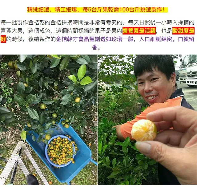 🍊 宜蘭季節限定上市 錯過再等一年 【山藥陳皮甘草金桔】 限時福利優惠中 ✅ 嚴選優質金桔與草本原料 ✅ 自然晾曬製作 保留食材原有風味 ✅ 果香濃郁 酸甜適口 果肉細緻柔軟 入口散發自然金桔清香 層次豐富 越吃越涮嘴 大人小孩都喜愛 - 6