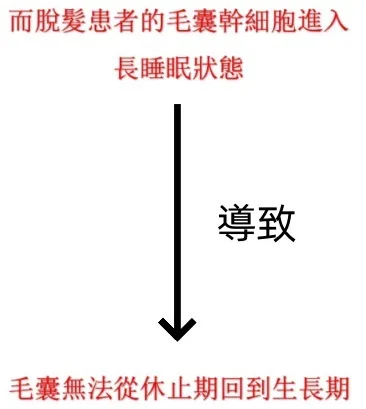 🌿【植萃養髮精華液】滋養頭皮・強韌髮根・打造豐盈秀髮質感 - 2