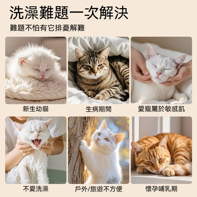 🐶🐱【台灣毛孩家長必備｜免洗清潔手套】 毛孩不愛洗澡？日常清潔太麻煩？ 一戴一擦，輕鬆整理毛孩日常毛髮狀態！ ✨ 柔軟材質設計｜親近毛孩肌膚 ✨ 方便擦拭清潔｜減少外出後髒污困擾 ✨ 搭配日常梳理｜讓毛髮保持柔順蓬鬆 🐾 適合貓咪、狗狗使用 居家清潔、外出回家、換毛季護理都方便！ 不用大費周章洗澡，簡單幫毛孩維持乾淨舒適～ - 4