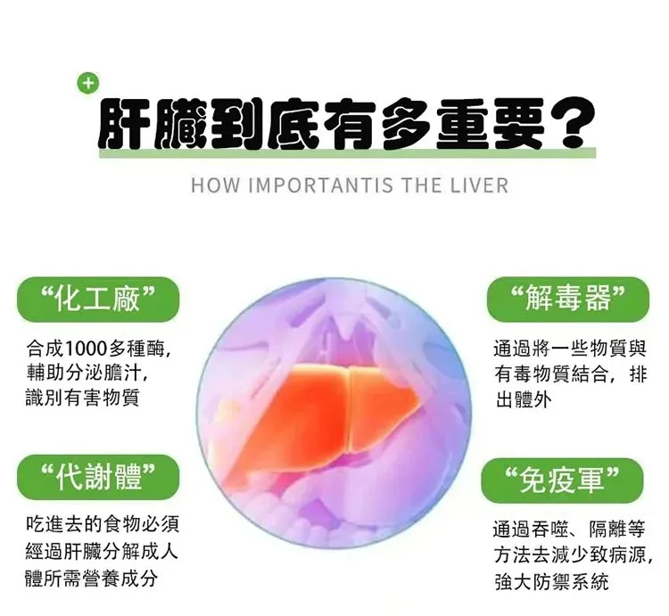 【台北頤和堂】葛根靈芝片 肝的問題刻不容緩 明目 排毒 去火 純中醫配方無危害 科學養護您的肝的健康！ - 5