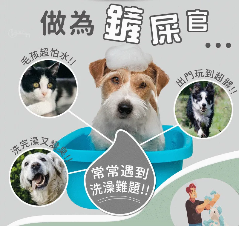 🐶🐱【台灣毛孩家長必備｜免洗清潔手套】 毛孩不愛洗澡？日常清潔太麻煩？ 一戴一擦，輕鬆整理毛孩日常毛髮狀態！ ✨ 柔軟材質設計｜親近毛孩肌膚 ✨ 方便擦拭清潔｜減少外出後髒污困擾 ✨ 搭配日常梳理｜讓毛髮保持柔順蓬鬆 🐾 適合貓咪、狗狗使用 居家清潔、外出回家、換毛季護理都方便！ 不用大費周章洗澡，簡單幫毛孩維持乾淨舒適～ - 1