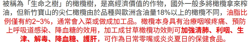 🌿新竹寶山甘草橄欖｜長輩喜愛的傳統養生果品 嚴選寶山橄欖果實 甘草工法醃製 酸甜爽脆 日常保養隨手享用 - 8