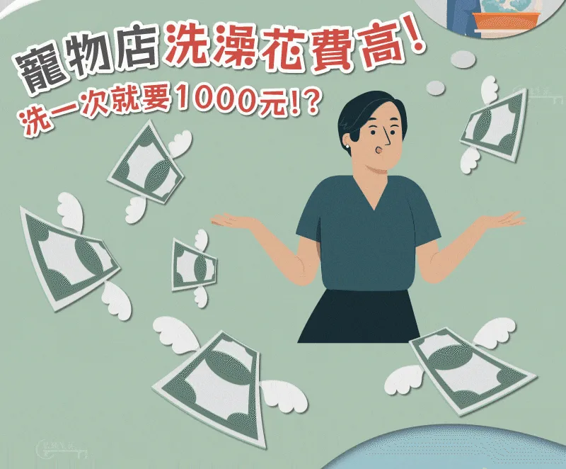🐶🐱【台灣毛孩家長必備｜免洗清潔手套】 毛孩不愛洗澡？日常清潔太麻煩？ 一戴一擦，輕鬆整理毛孩日常毛髮狀態！ ✨ 柔軟材質設計｜親近毛孩肌膚 ✨ 方便擦拭清潔｜減少外出後髒污困擾 ✨ 搭配日常梳理｜讓毛髮保持柔順蓬鬆 🐾 適合貓咪、狗狗使用 居家清潔、外出回家、換毛季護理都方便！ 不用大費周章洗澡，簡單幫毛孩維持乾淨舒適～ - 2