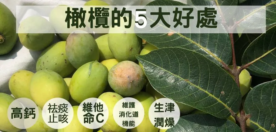 🌿新竹寶山甘草橄欖｜長輩喜愛的傳統養生果品 嚴選寶山橄欖果實 甘草工法醃製 酸甜爽脆 日常保養隨手享用 - 12