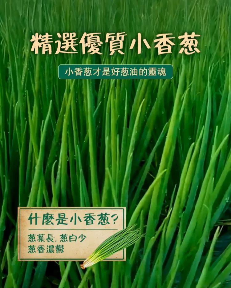 🧅 宜蘭三星蔥油拌麵醬|一匙拌出餐廳級蔥香美味😋 白飯拌一匙就停不下來!三星蔥油醬香到犯規👨🍳 老師傅手炒蔥油醬|拌麵拌飯拌菜都超搭 - 7