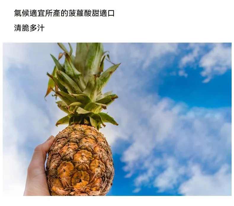 🍍【嘉義鳳梨乾】傳統烘焙工藝製作｜保留鳳梨自然果香與微脆口感 🔥 現切果肉低溫烘烤｜自然果甜風味濃郁 ✨ 入口微脆帶果纖維感｜越嚼越香不膩口 👨‍👩‍👧 全家皆適合的小零食選擇｜追劇 / 休閒 / 旅遊都方便攜帶 - 11