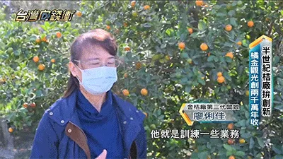 🍊【宜蘭有機甘草金桔】最後產季限定！錯過再等明年！ 🌿 嚴選宜蘭優質金桔，搭配甘草古法調製，自然風乾製作，保留果香與細膩口感。 ✨ 金桔香氣濃郁 ✨ 甘甜爽口不膩 ✨ 果肉柔軟有嚼感 入口先感受金桔清香，慢慢散發甘草回甘滋味，一口接一口停不下來！ 🍵 泡茶、日常小點、午後解饞都適合 🎁 產季限定福利優惠，喜歡金桔風味的朋友別錯過！ - 4