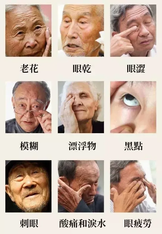 眼睛痠脹、乾澀、疲勞?醫視寳E視力眼貼:一貼舒緩,雙眼重獲清新 - 9