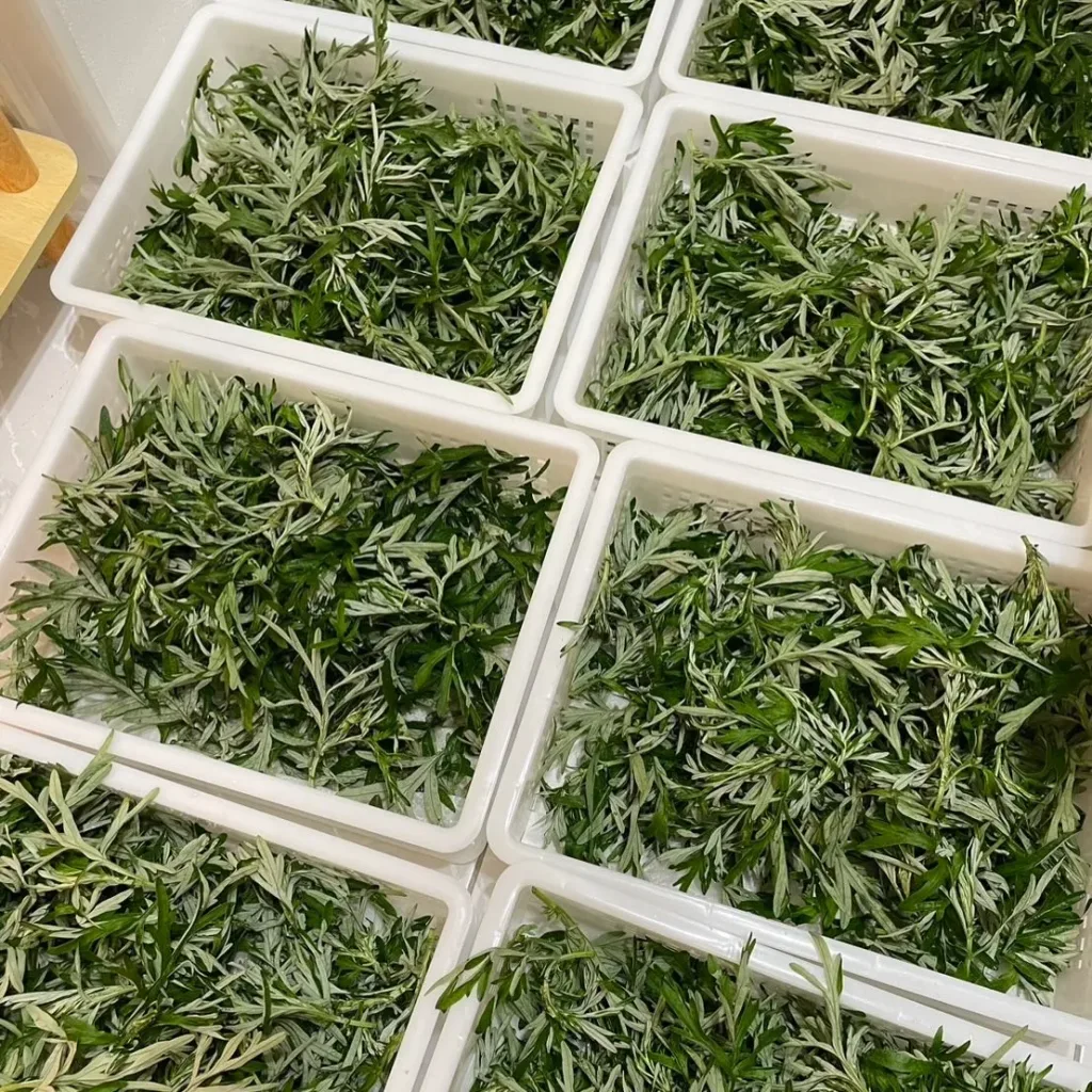 🌿【純陽午時水・古法手工艾草平安皂】 傳承古法艾草製皂工藝，嚴選陳年艾草與天然草本原料，手工慢製保留濃郁艾草香氣。 ✨ 艾草清香｜洗後清爽舒適 ✨ 細膩泡沫｜溫和潔淨肌膚 ✨ 手工製作｜每一顆都是匠心打造 沐浴時感受自然草本氣息，給肌膚一份溫柔呵護。適合日常使用、家庭常備，也適合作為送禮祝福之選。 🌿 一皂傳承古法，一份安心陪伴每一天。 - 9